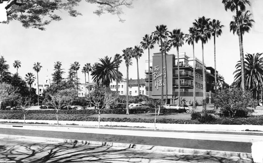 Why Are There Palm Trees in Los Angeles?