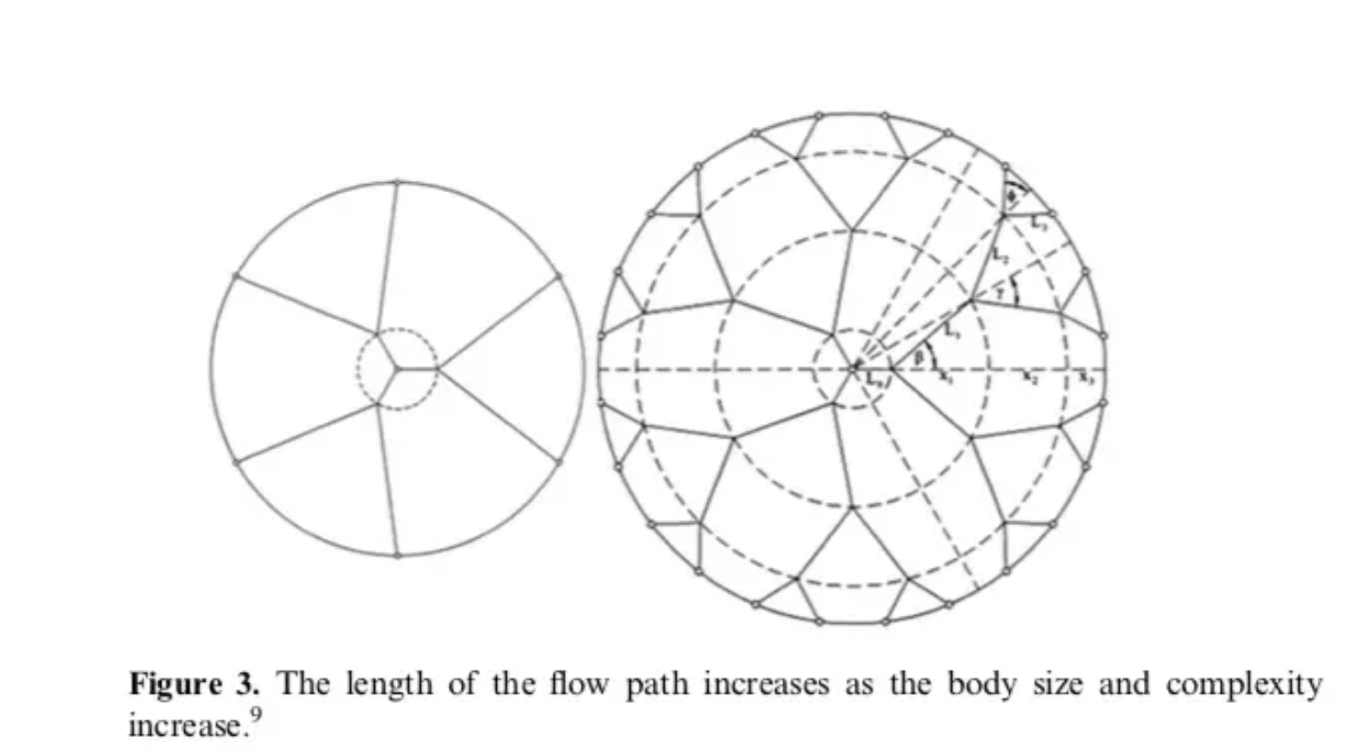 Screenshot_2019-09-10 Physics explains why time passes faster as you age(1).png