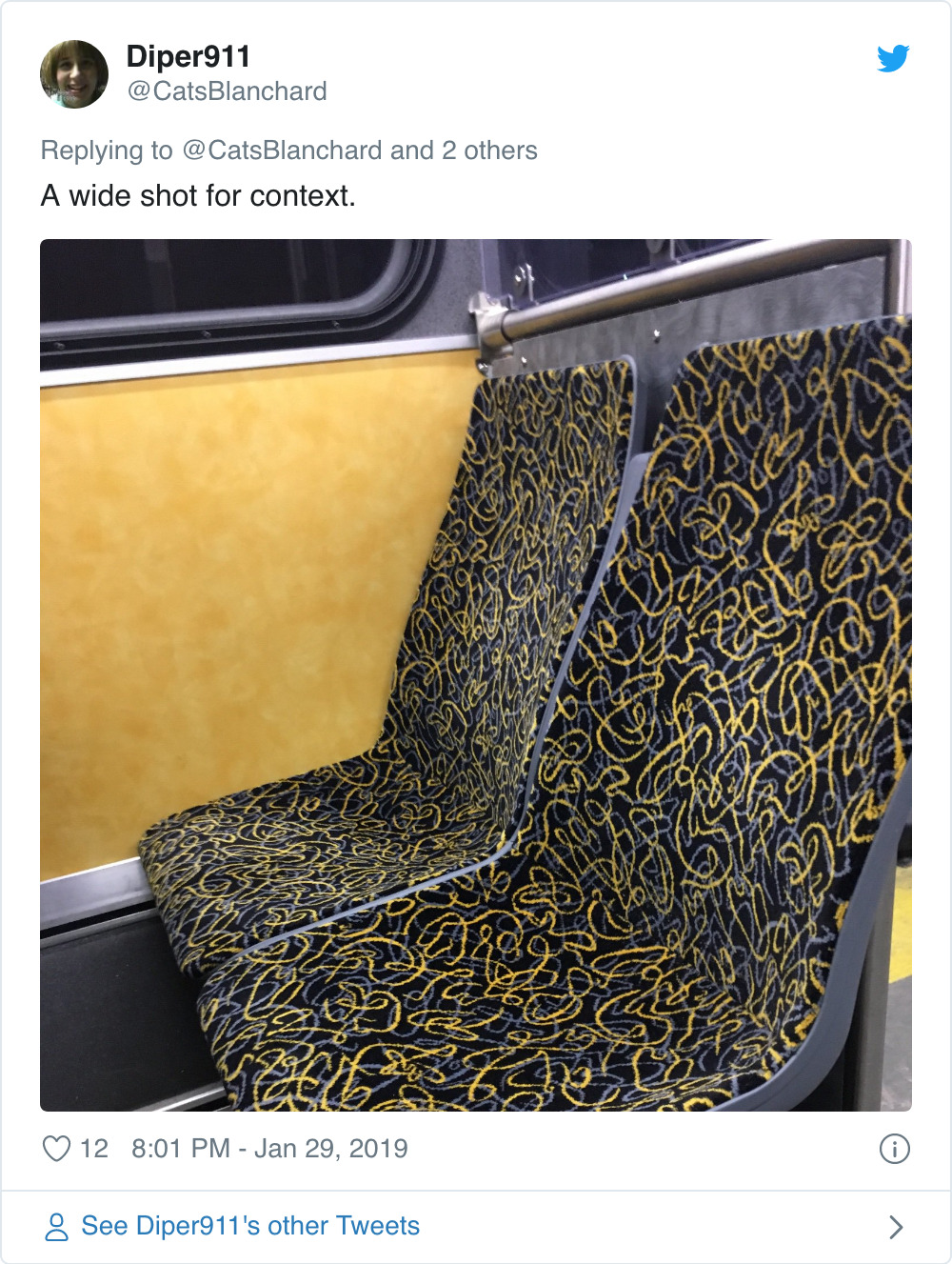 Screenshot_2019-12-19 The Good, Bad, and Ugly Public Transit Seat Covers of the World.jpg