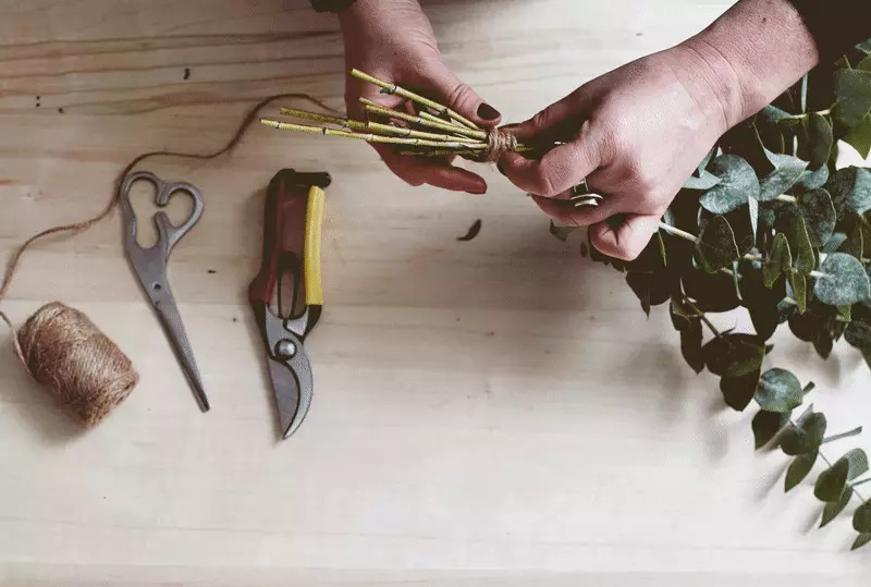 Life Hack: Put a Bunch of Eucalyptus In Your Shower