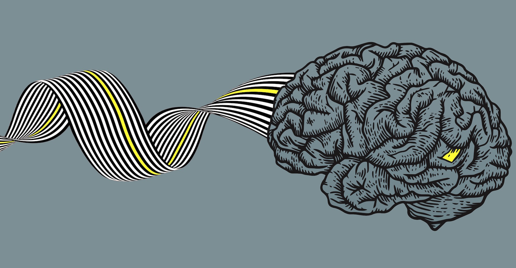 brain-misinformation-yellow.jpgcrop.jpg