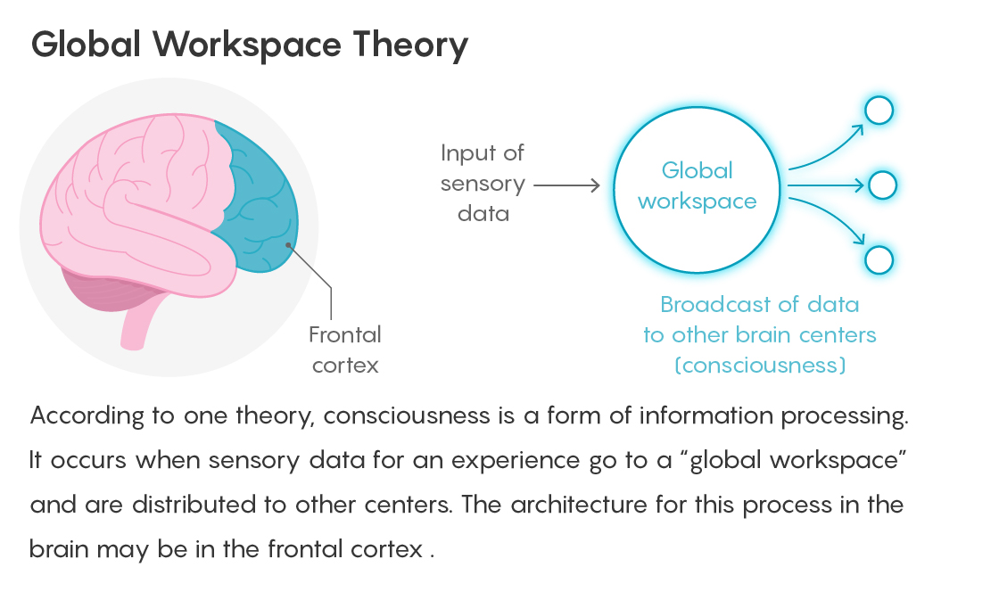 GlobalWorkspaceT_560.jpg