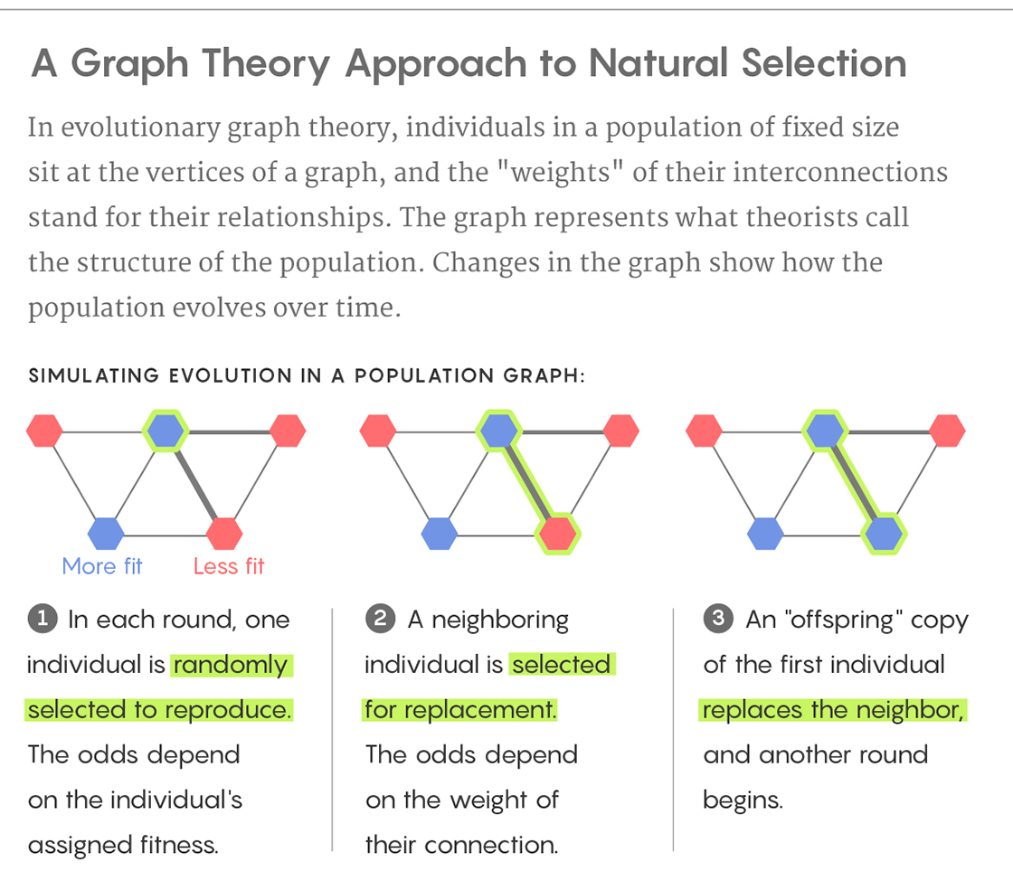 EvolutionaryGraph560A.jpg