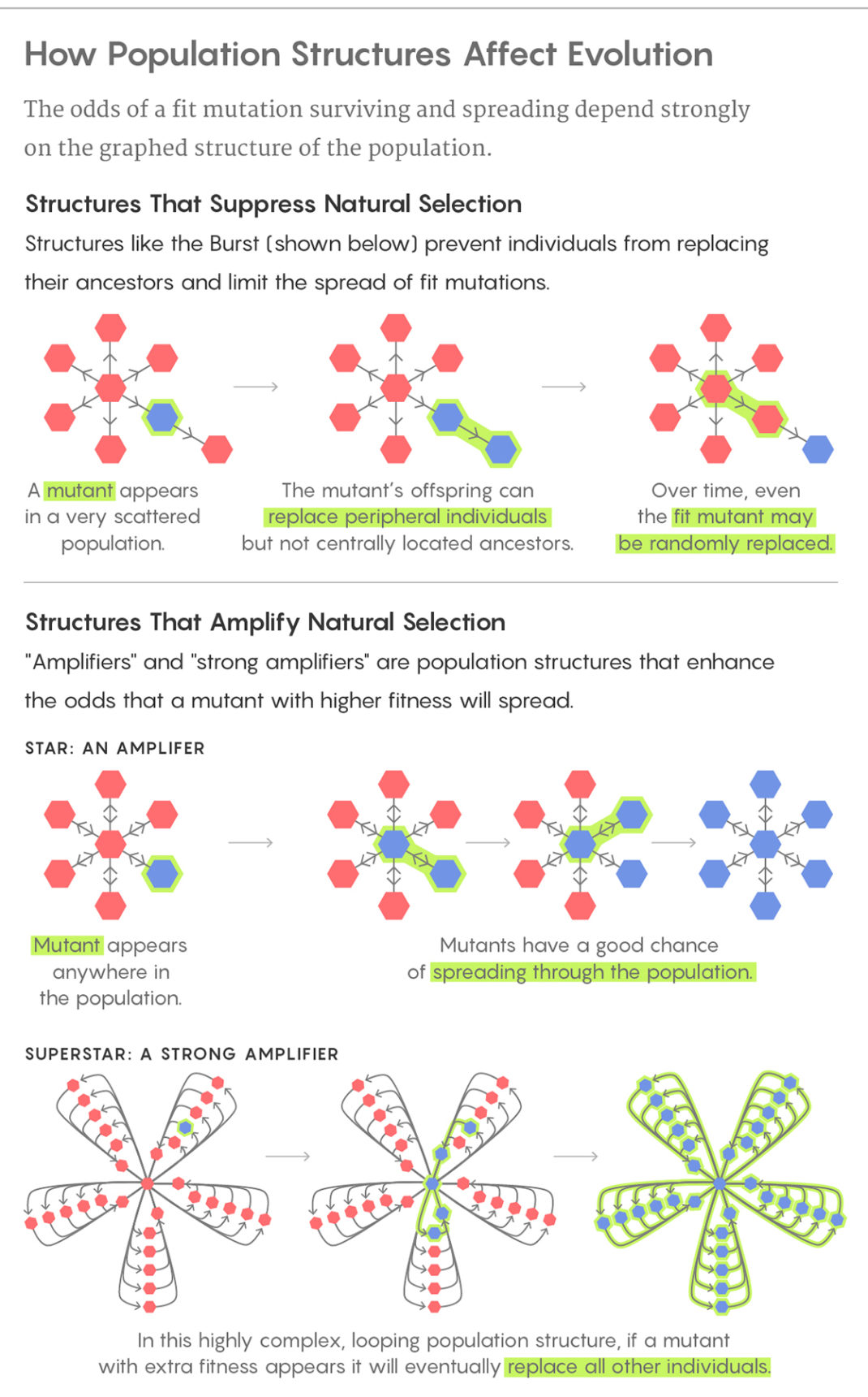 EvolutionaryGraph560B-1070x1720.jpg