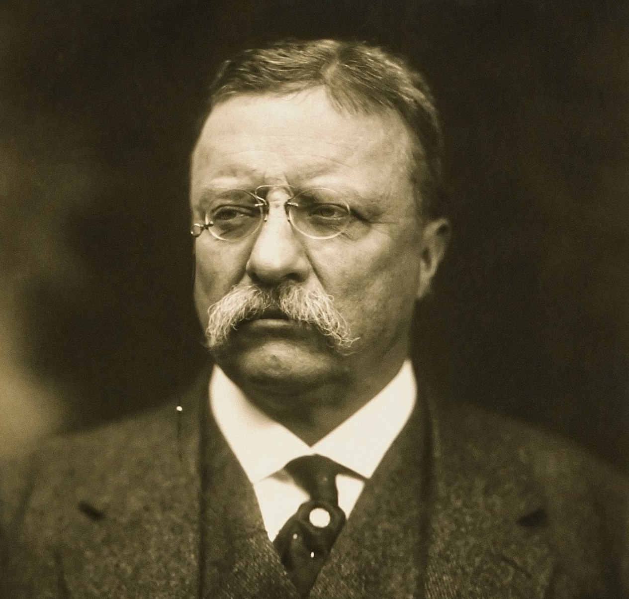 1280px-T_Roosevelt.jpg