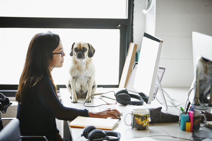 woman sitting at computer with dog