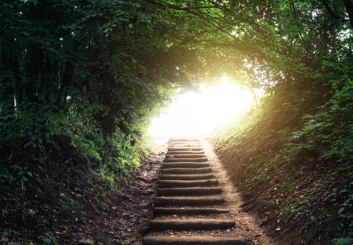 a stairway in a shady forest leading to a bright light