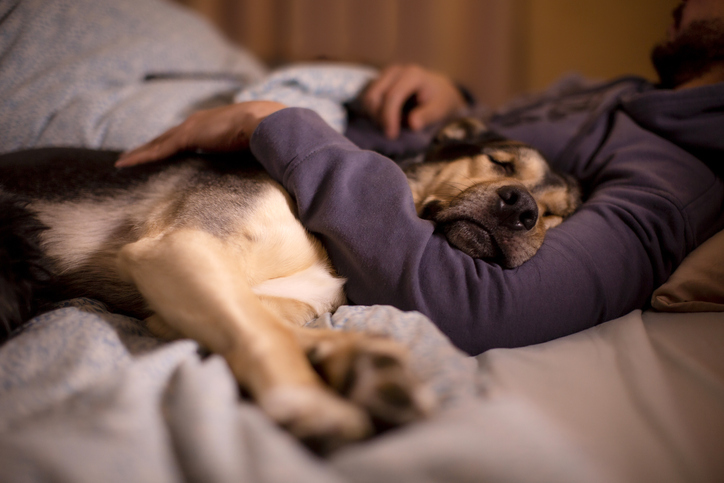 a man cuddled up in bed next to a cute sleeping dog