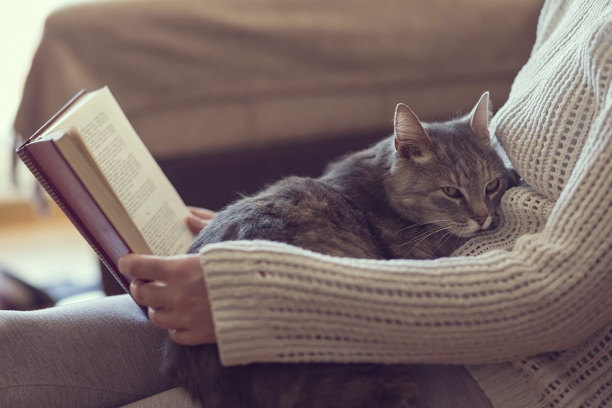 snuggling a cat and reading