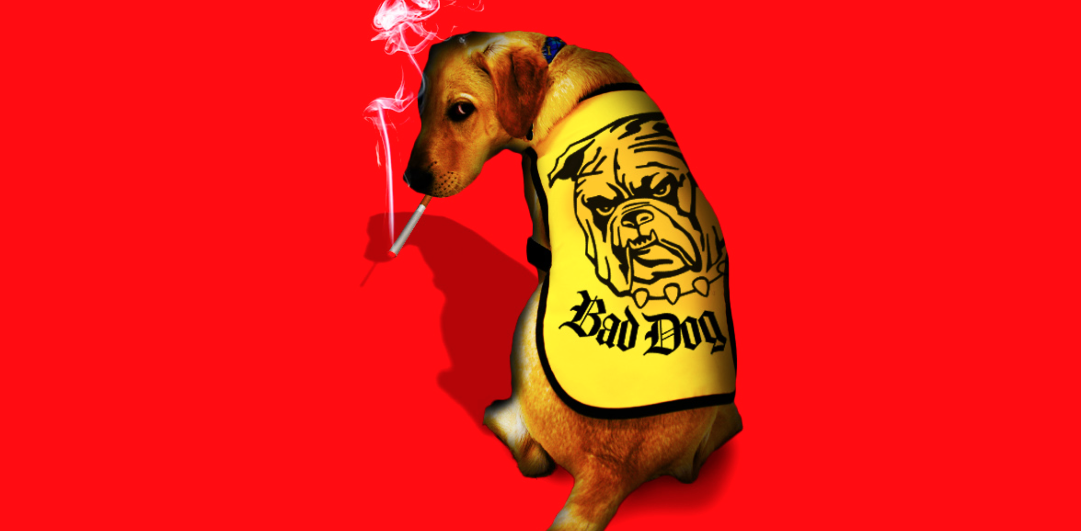 a dog photoshopped to look like he's smoking a cigarette