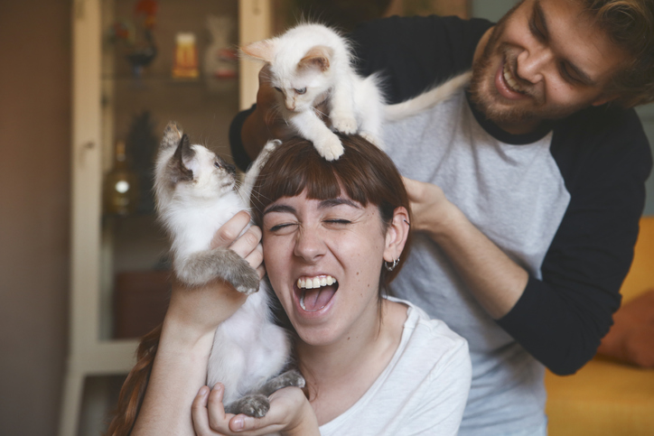 a couple of poeple playing with kittens