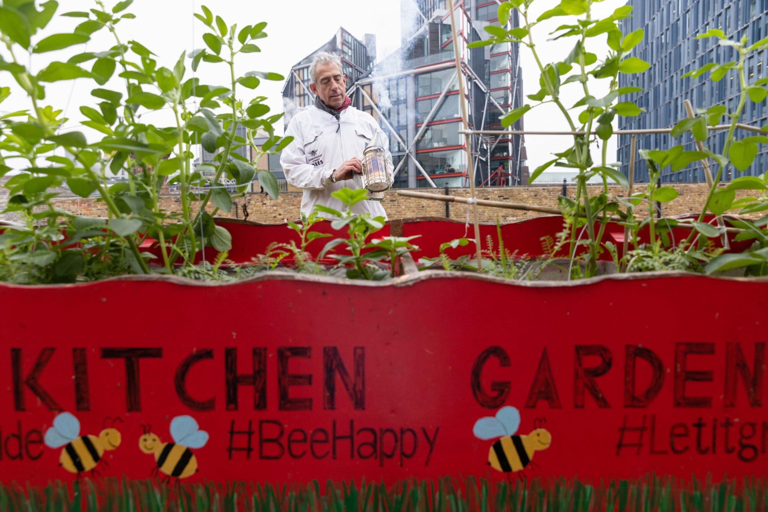 person gardening on a roof