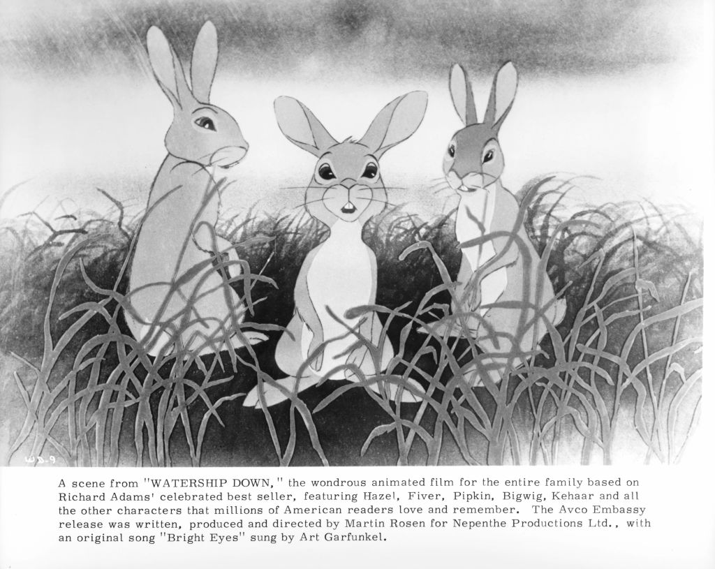 Scene from 'Watership Down'