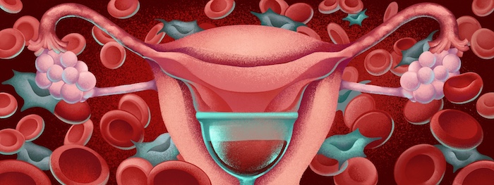 illustration of uterus against blood cells