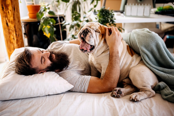 man cuddling bulldog in bed